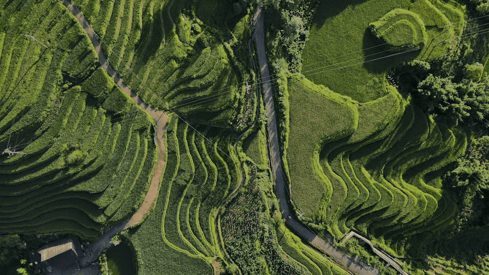 Immerse yourself in nature, and enjoy the peaceful ambiance of Cat Cat Village, where time seems to stand still (Source: Pexels)